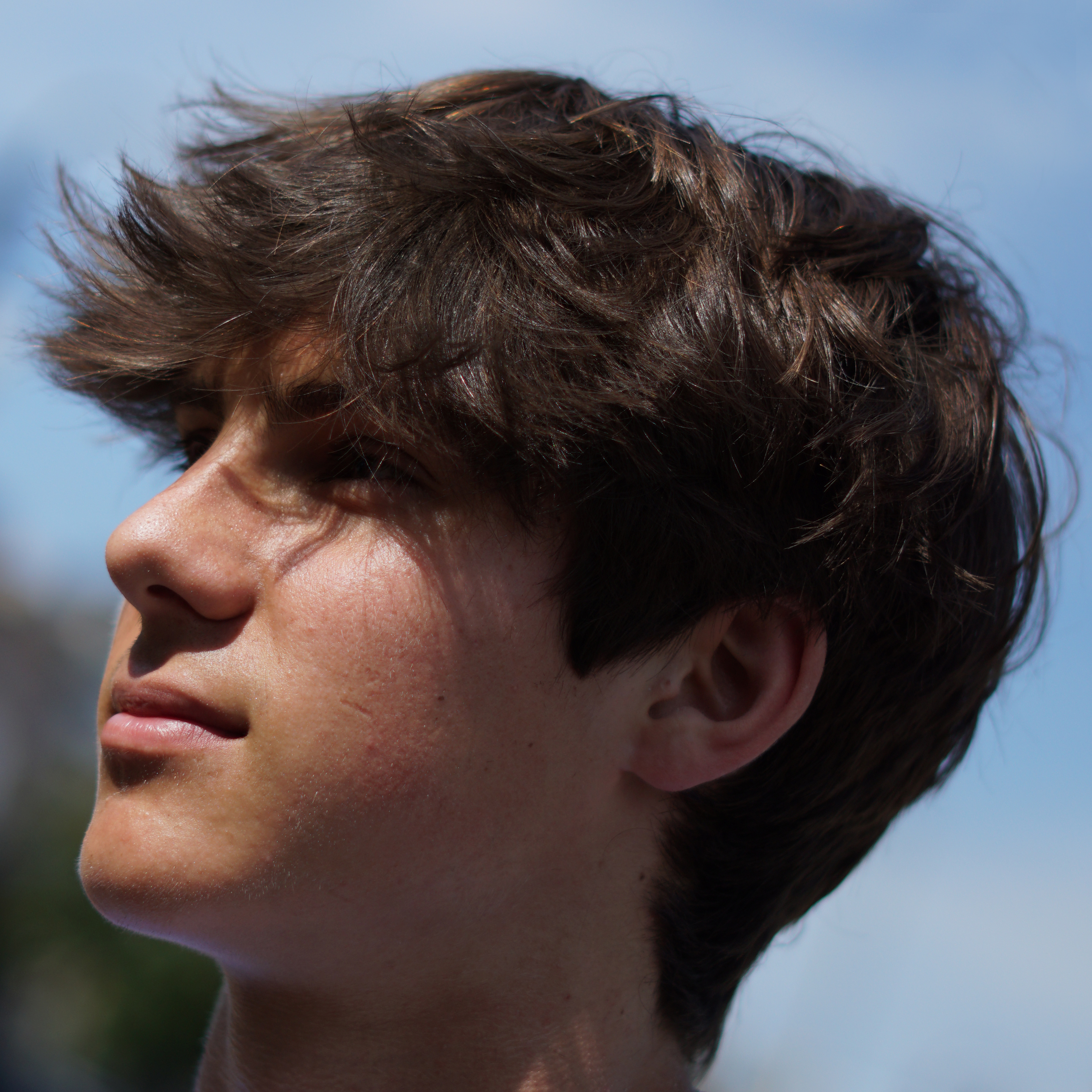 Angled headshot of teen boy in blue shirt with feathered hair on top and tapered sides and back by Andis Clippers.